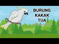 Download Lagu Music 8, 1st Quarter ll Burung Kakak Tua