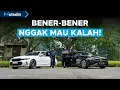 Lagu Musuh Bebuyutan BMW 330i M Sport Pro LCI VS Mercedes-Benz C300 AMG Line | Moladin