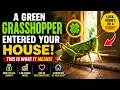 A green grasshopper landed in my house and here is the real meaning for your daily life