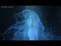 Soothing Mermaid Song for Sleep 🧜‍♀️ Siren's Song & Mermaid Music & Humming (8 HOURS)