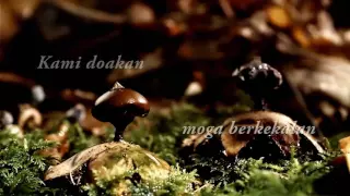 kompang dipalu lirik waheeda dan izam eye