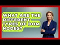 What Are The Different Types Of DOM Nodes - JavaScript Toolkit