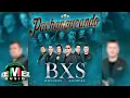 Download Lagu BXS - Pachangueando (Full Video)