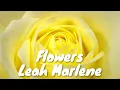 Leah Marlene – Flowers (Lyrics) 💗♫