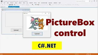 A Beginner s Guide to PictureBox Control in C NET