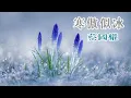 寒傲似冰 主唱 蔡國權