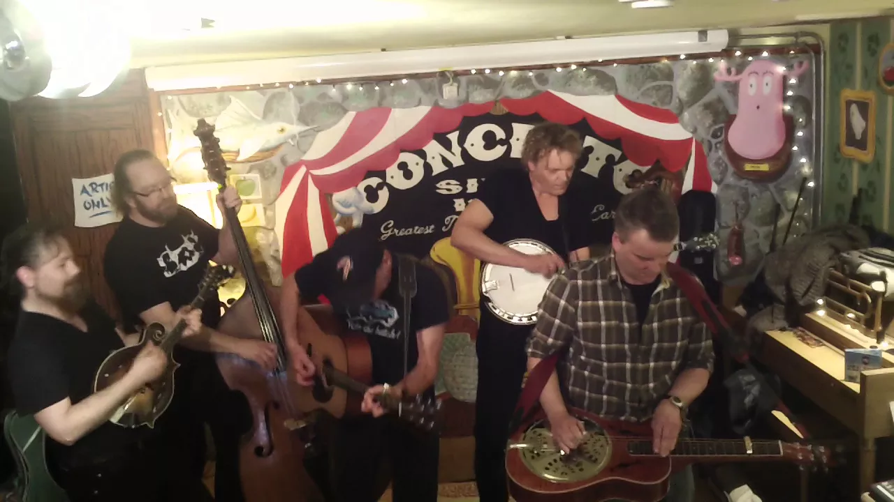 Tennessee Studs Instore @ Concerto 3/4/16