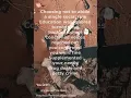 You Drift - Amy Igence / Philip Waters ft. DJ Terror Bite / Itchee SkRatch