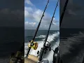 2021 Nauticstar 2302 legacy - palm city Stuart Florida