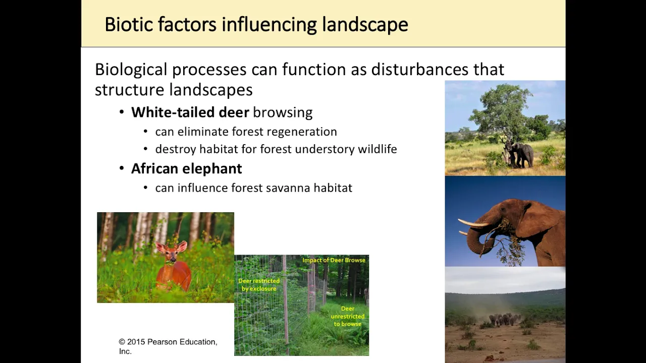 Landscape Ecology