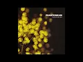 Phantogram - Mouthful of Diamonds