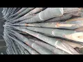 Bamboo Wholesale Price