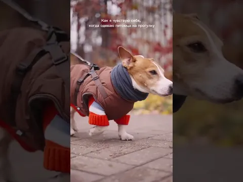 В эфире Модный приговор🤭