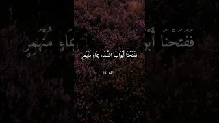 ف د ع ا ر ب ه أ ن ي م غ ل وب ف ان ت ص ر القارئ عبد الباسط 