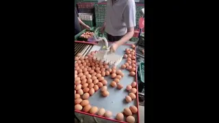                                 دندنها