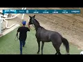 Humidity wins race 8 at Del Mar 26