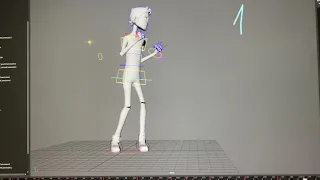 Rigging proxy test