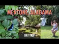 Mentone Alabama A Perfect Day Trip Exploring on Lookout Mountain shops and food
