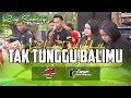 Download Lagu Tak Tunggu Balim  ROGO SAMBOYO PUTRO  Voc Lerry Mahesa Feat Maretha dan Dista Live Plemahan