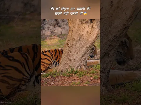 #sound