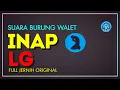 Download Lagu suara inap burung walet  full original mp3