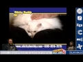 Yogscast Simon and Tom watch Sticky Buddy Dub feat Left Guy