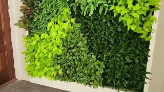 Transform Your Space Stunning Living Green Wall