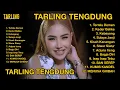 Download Lagu TARLING TENGDUNG | ANIK ARNIKA 2024