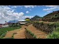 Download Lagu Walking in an Indonesian village || green village under a fertile lake