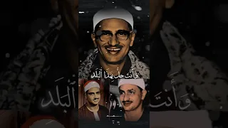 لا أقسم بهذا البلد المنشاوي 