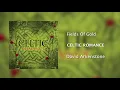 David Arkenstone - Fields of Gold [Official Audio]