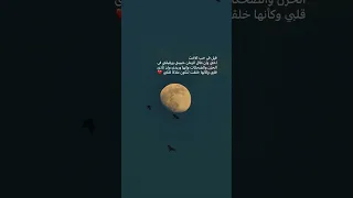 اجمل عبارة عن الاخت          دندنها