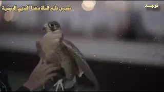 قامت من اطراف الشجر I أداء مهنا العتيبي 