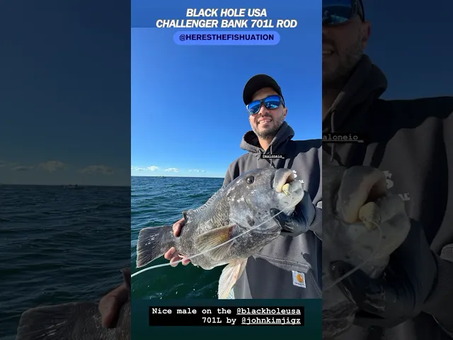Black Hole USA Challenger Bank Rods