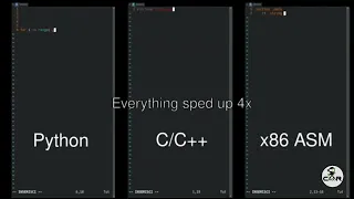 Python vs Assembly side-by-side comparison