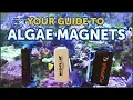Download Lagu The Best Magnetic Algae Cleaners And How to Choose The Right One For Your  Aquarium