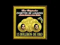 Una Lagrima y un Recuerdo - Los Cadetes de Linares