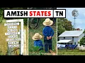 The Amish in Tennessee 12 Communities