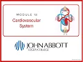 MODULE 13 Cardiovascular System The Heart