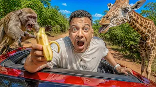 القرود هجمت علينا يوم مرعب في حديقه الحيوان😱!
