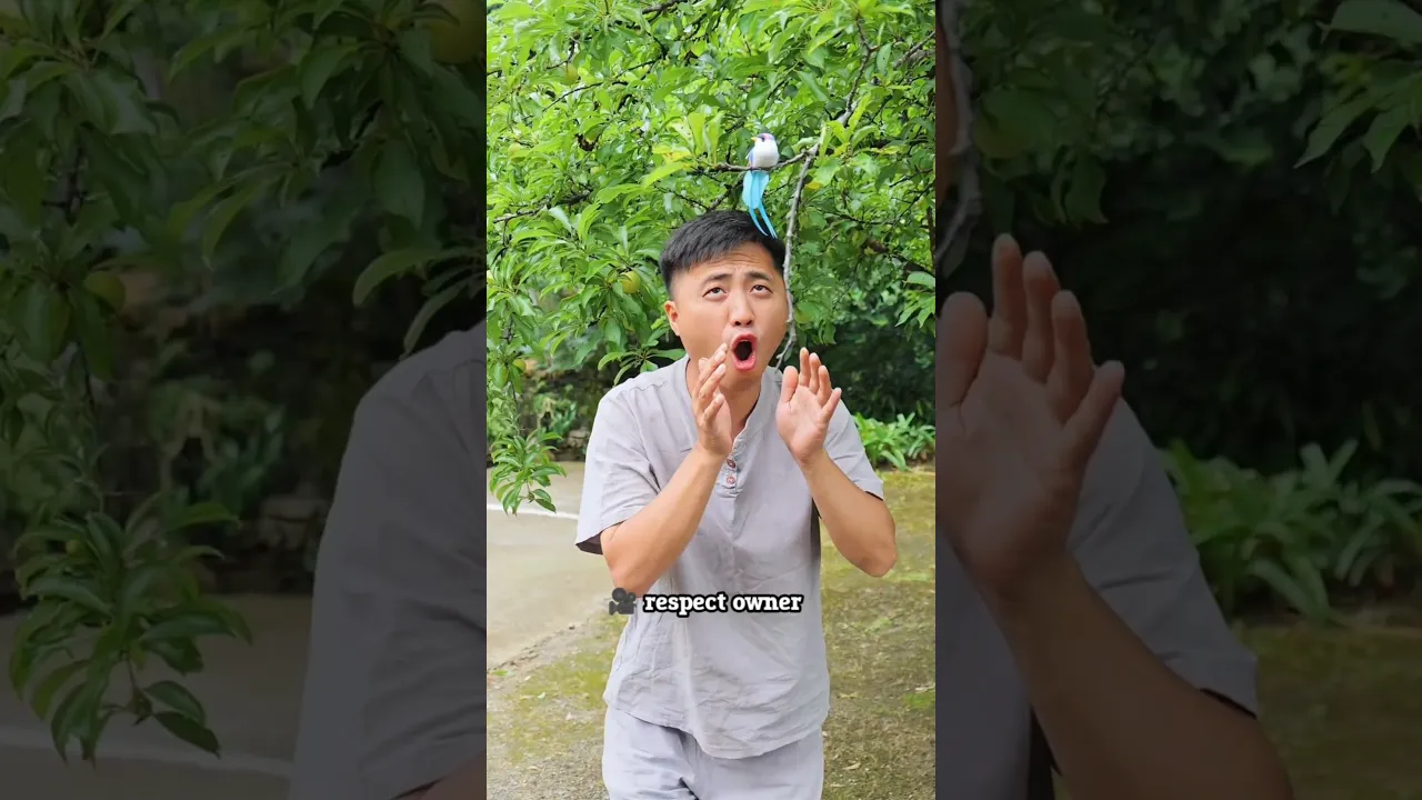 #bts