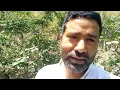 a Himalayas Yogi in secret cave