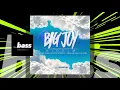 Viking Ding Dong  - Leave it Alone (Big Joy Riddim) | 2021 Music Release