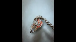                        دندنها