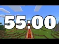 55 MINUTE TIMER
