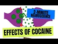 Download Lagu 2-Minute Neuroscience: Effects of Cocaine