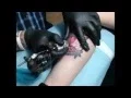 Traditional tattoo time lapse Oyster crystals