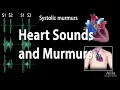 Download Lagu Heart Sounds and Heart Murmurs, Animation.