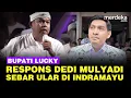 Download Lagu Bupati Lucky Hakim Respons Dedi Mulyadi Soal Sebar Ular di Sawah Indramayu
