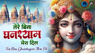  tere bina ghanshyam mera dil krishna bhajans shri krishna bhajans